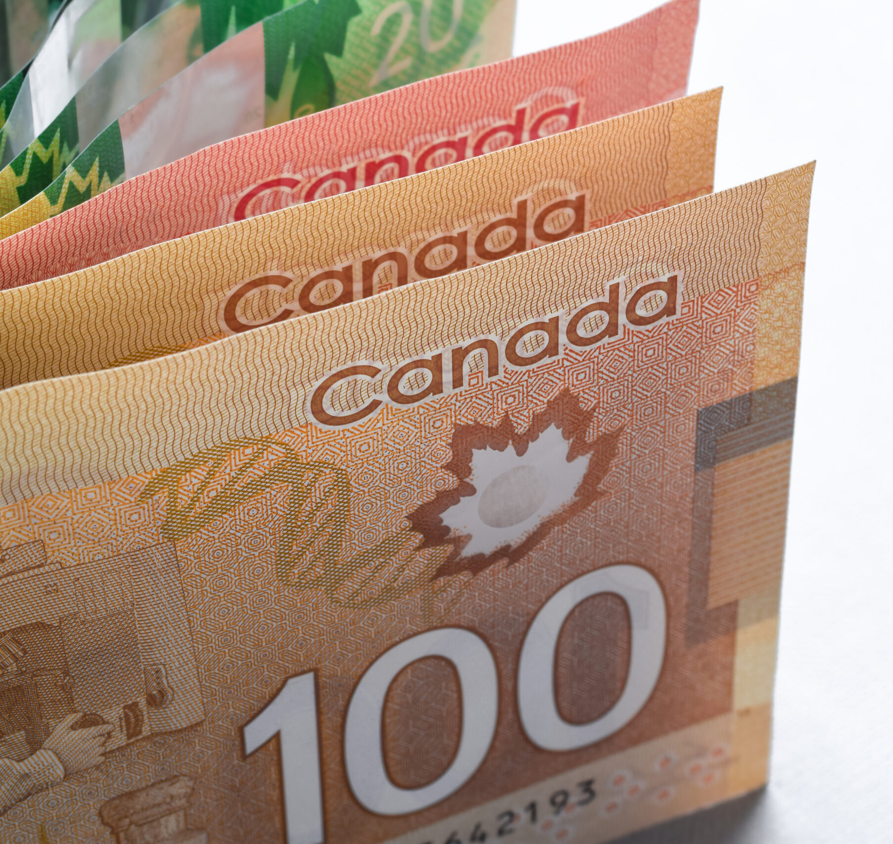 Canadian dollar bills standing up isolated cutout